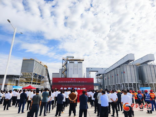 甘肅農墾亞盛種業中墾玉種子加工廠在張掖落成，助力種業現代化發展