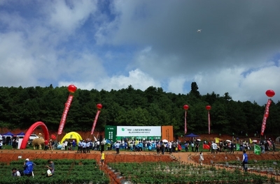 2019云南蔬菜種業博覽會開幕，推動種業創新與蔬菜產業升級
