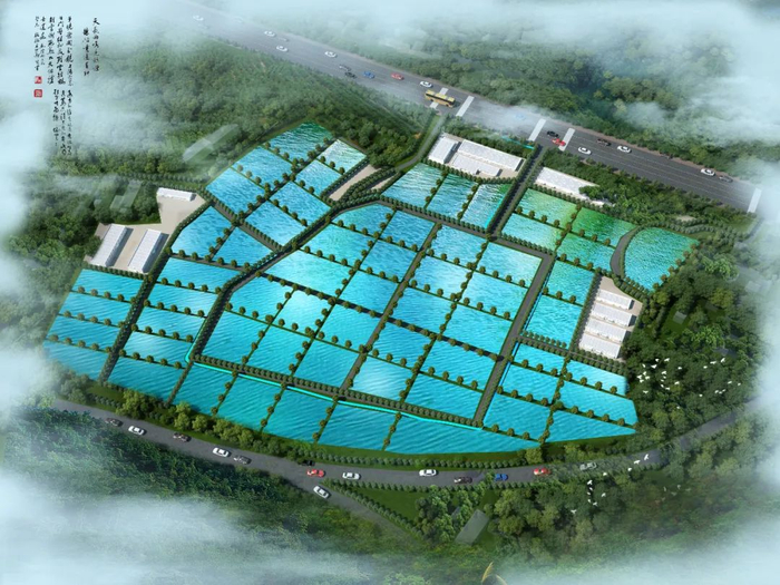 投資2.4億！水產(chǎn)巨頭落子九江，南?，F(xiàn)代水產(chǎn)種業(yè)迎來強(qiáng)勁新引擎