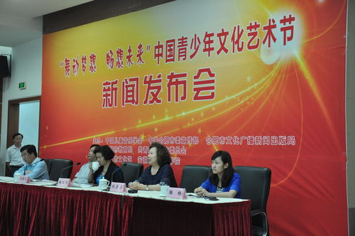 2015中國(guó)合肥青少年文化藝術(shù)節(jié) 文化交流的青春盛宴